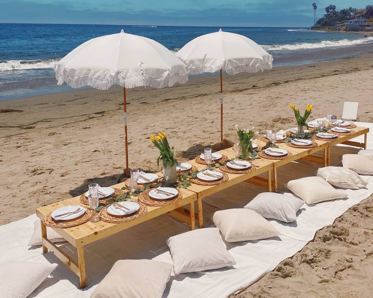 luxury beach picnic in Los Angeles
