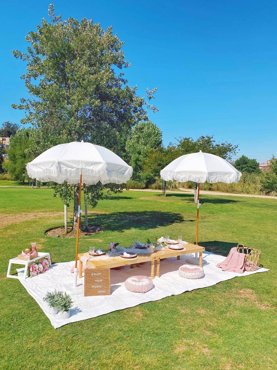 luxury picnic pop-up services in LA