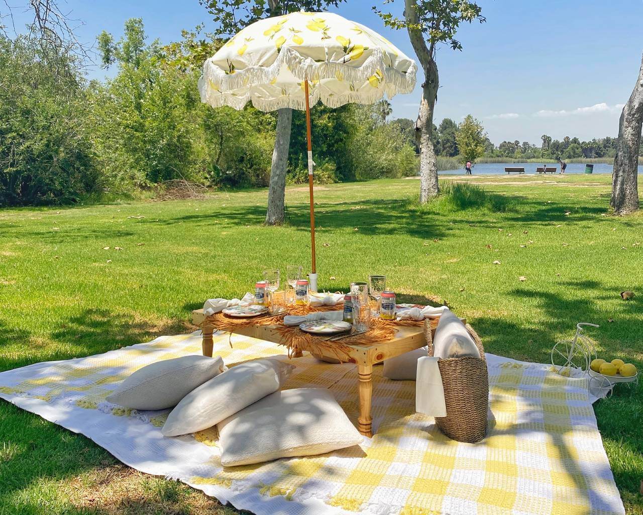 park picnic pop-up services in LA, OC & Malibu