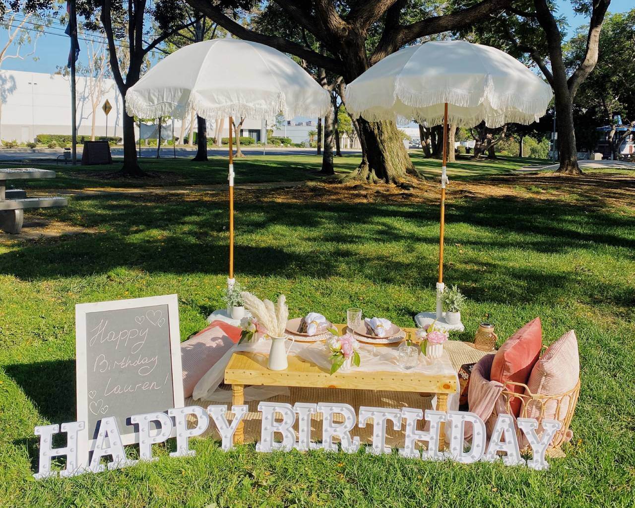 adult birthday picnic party services