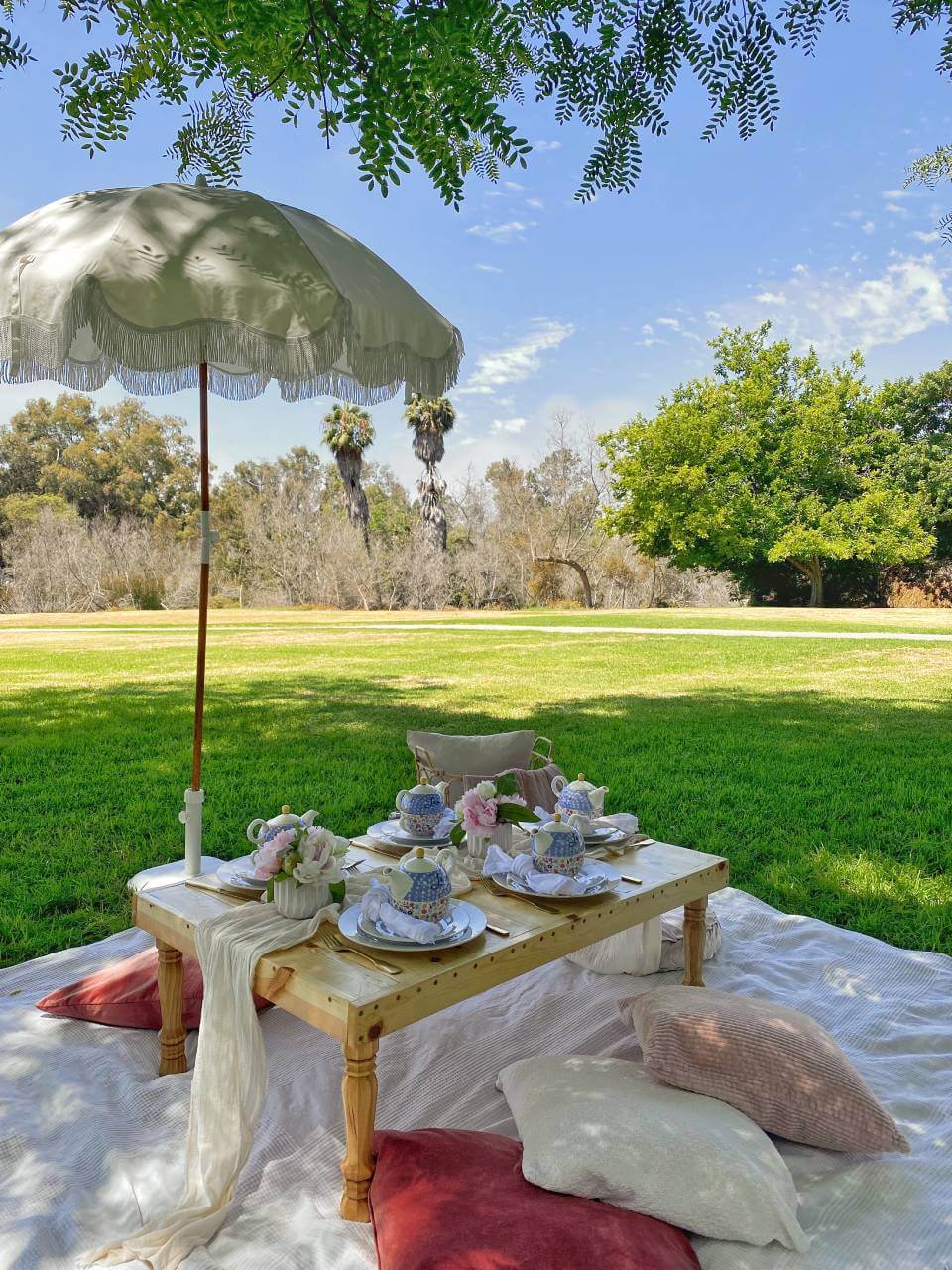 outdoor picnic birthday party setup