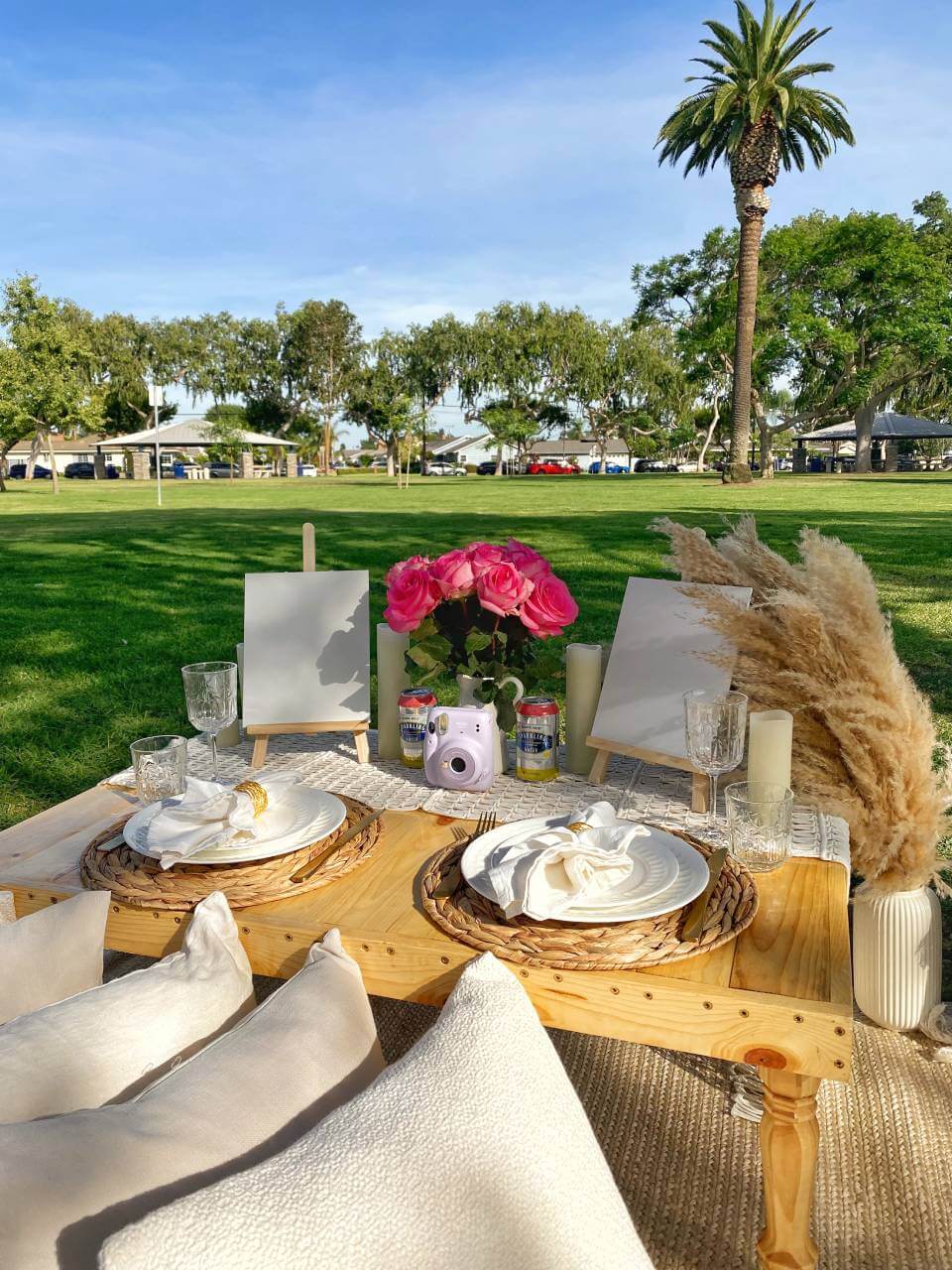 outdoor picnic proposal setup
