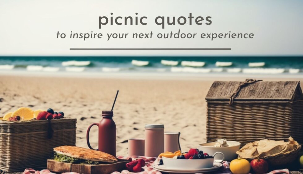 50+1 Picnic Quotes to Inspire Your Next Outdoor Experience