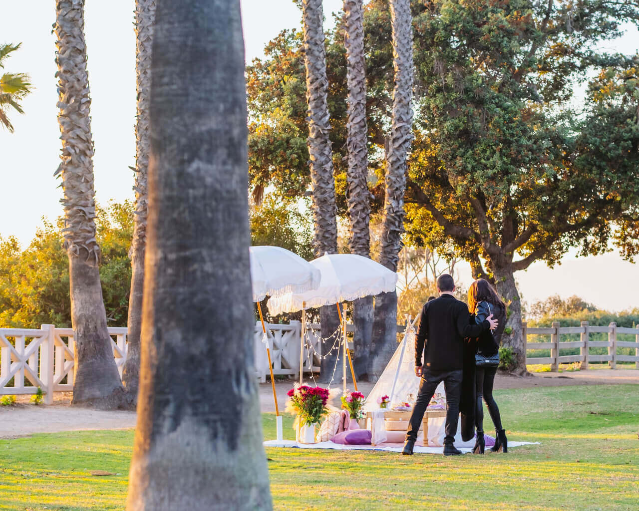 park picnic experience in Beverly Hills CA