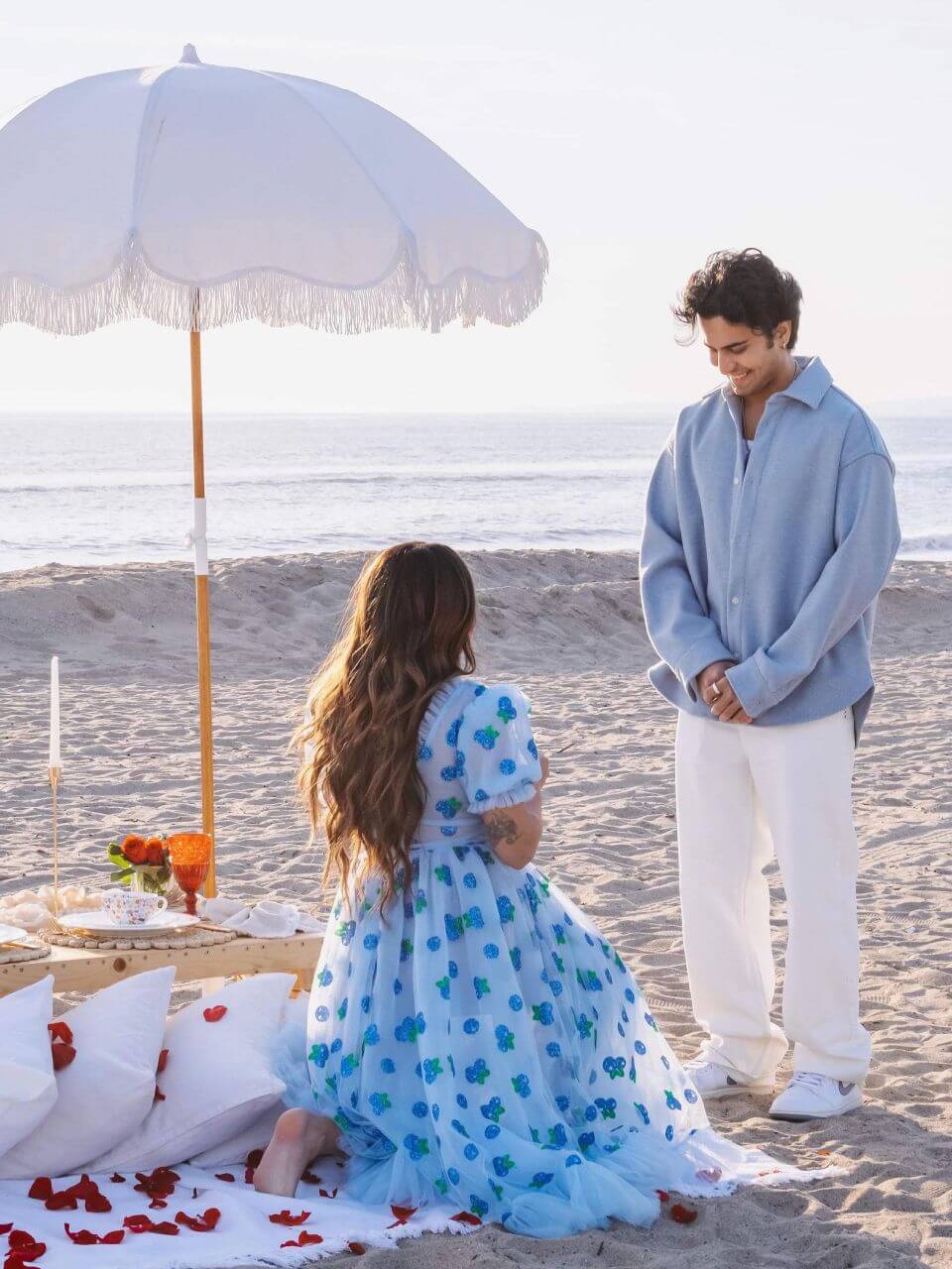 proposal on a picnic in LA