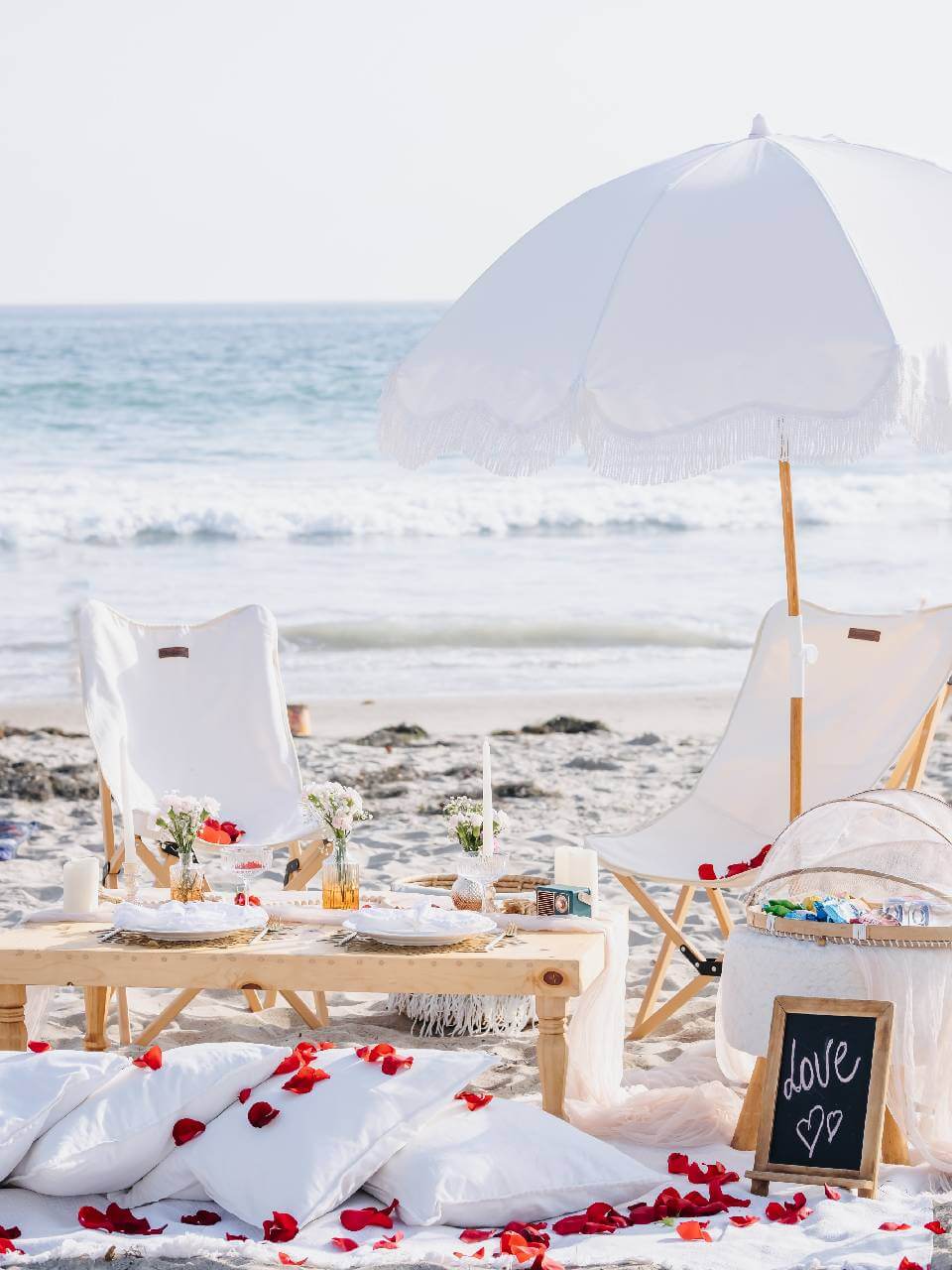 beach picnic photo session