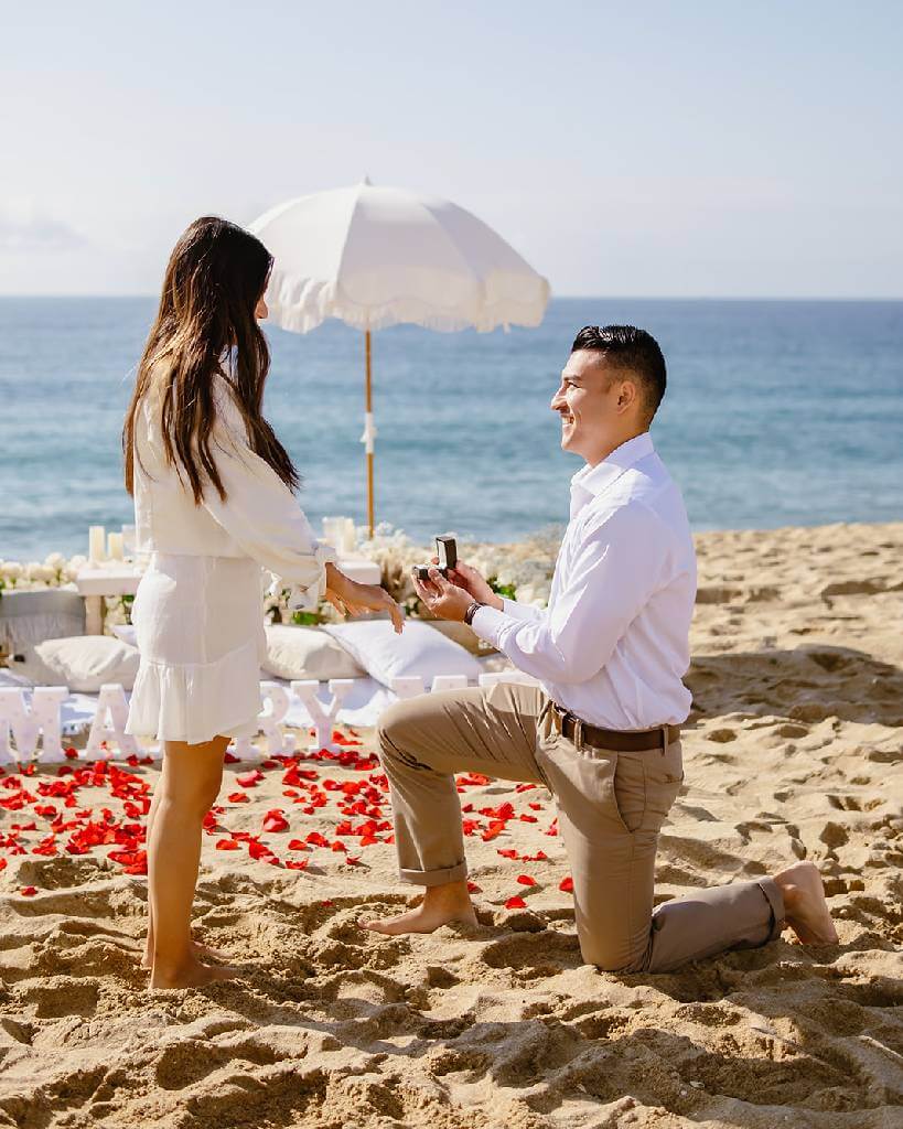 luxury picnic marriage proposal
