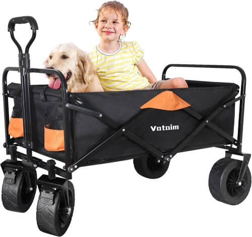 best beach wagon for kids Vataim