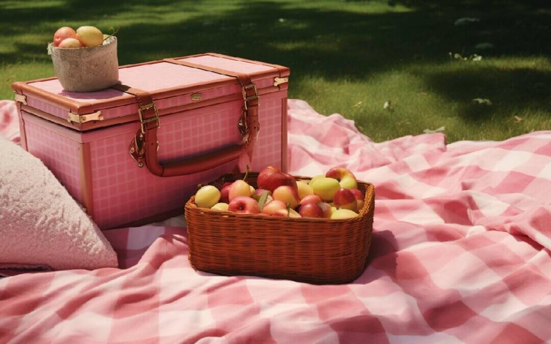 best pink picnic blankets in 2024