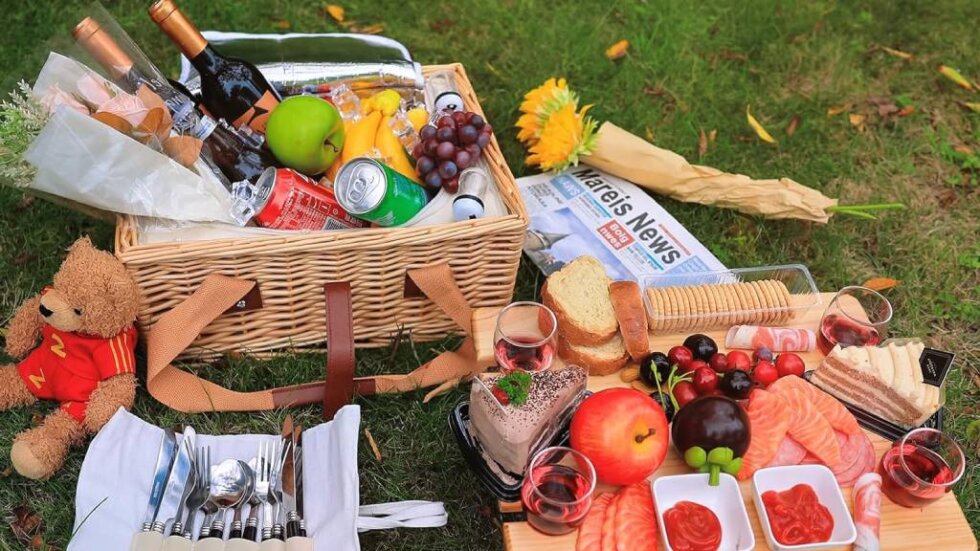 5 Best Picnic Basket Sets in 2024 | Picnic Makers