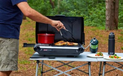 best small propane grills for 2024