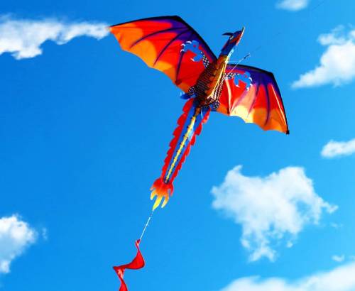 excellent flying kites