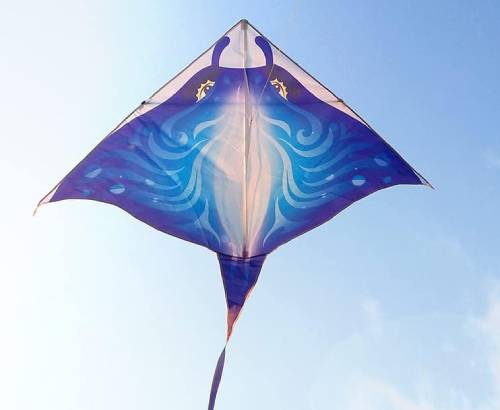 great flying kites