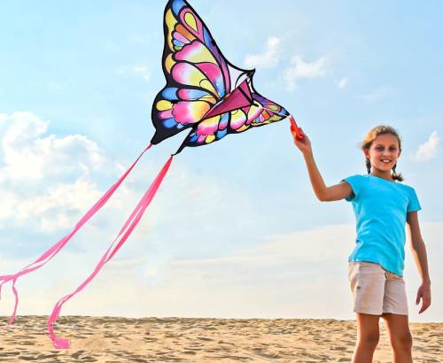 superb flying kites