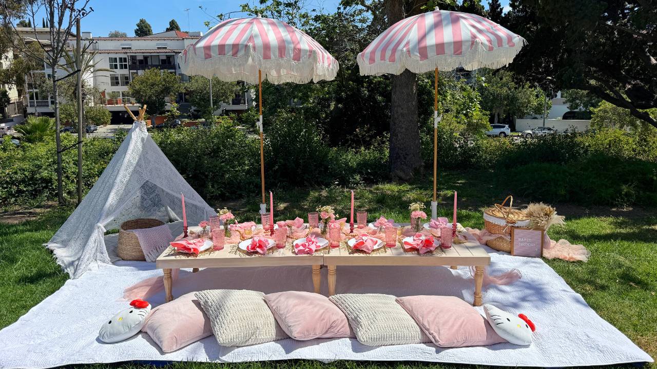 international picnic day