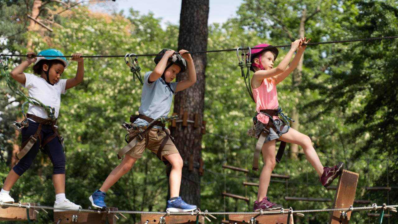 Tree climbing competition