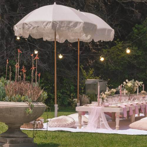 luxury picnic wedding party