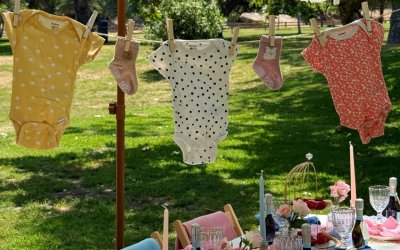 23 Baby Shower Ideas for Twins