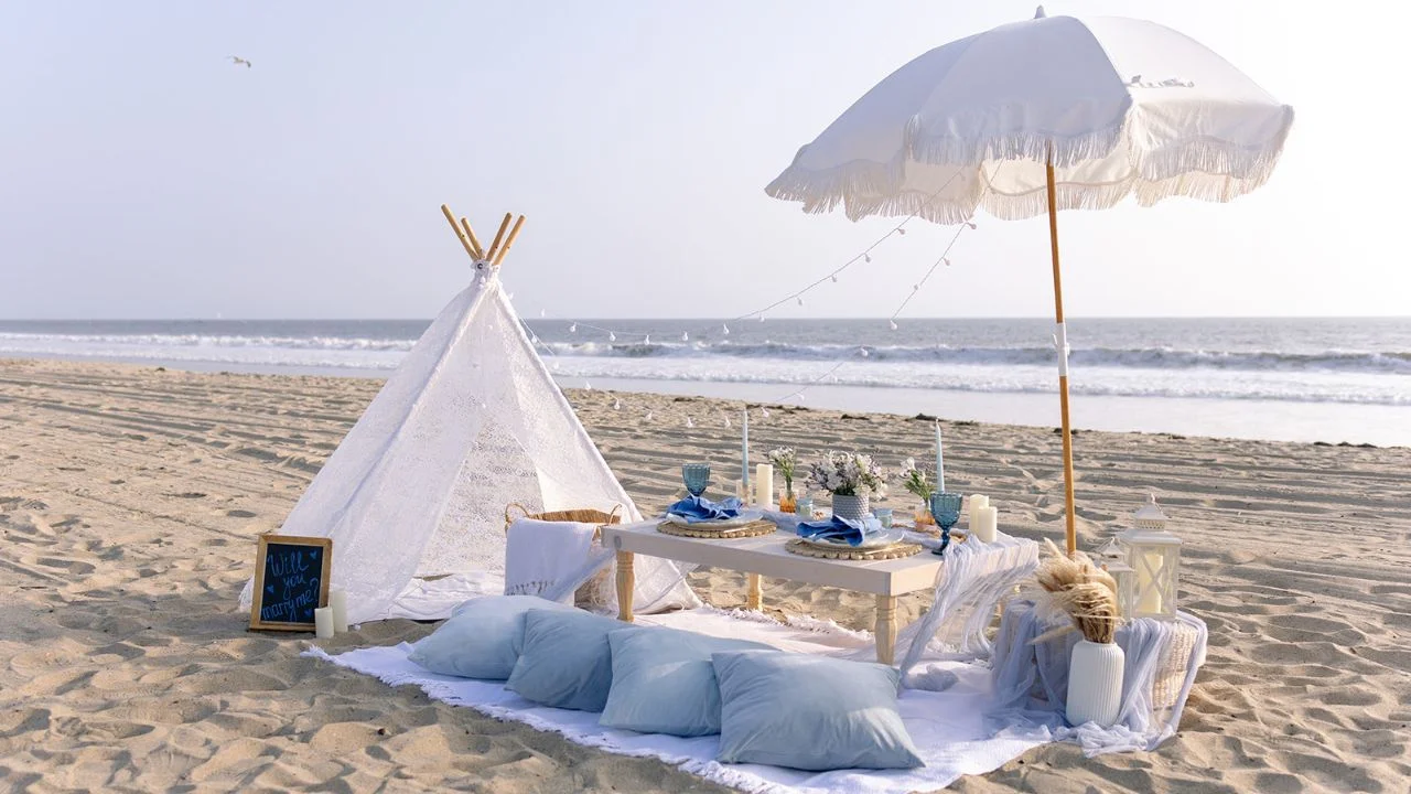 Luxury Picnic Experience