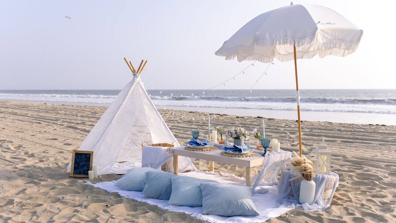 Luxury Picnic Experience