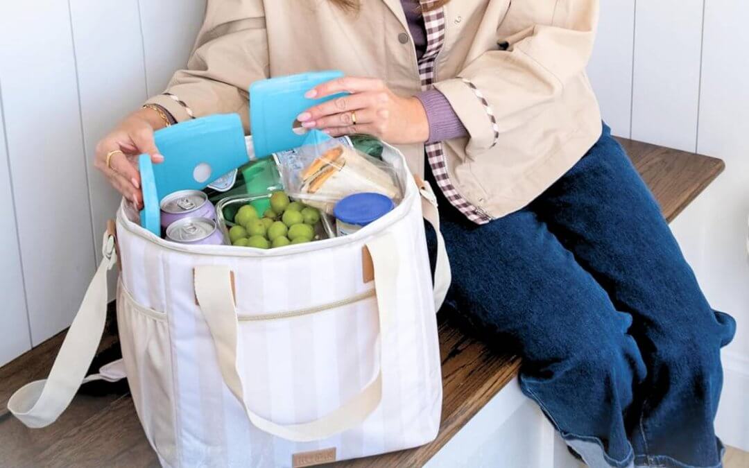 Top-Reviewed Ice Packs for Coolers