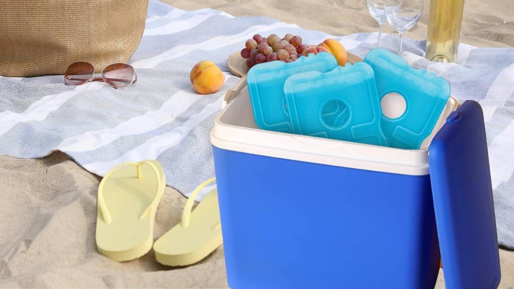 ice packs for coolers picnic
