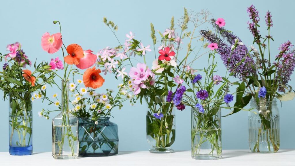 wildflower in a bud vase