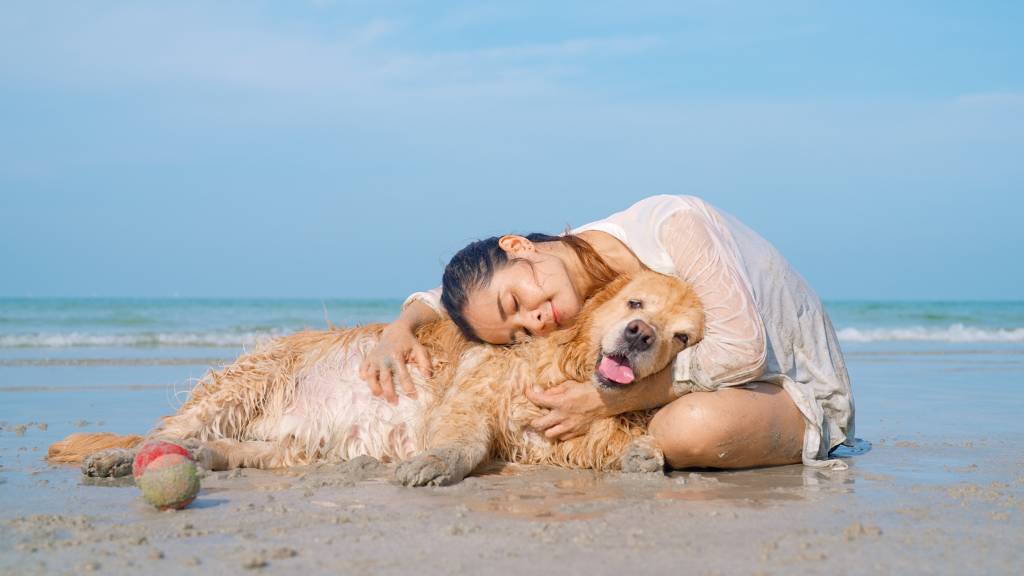 dog with owner on beach