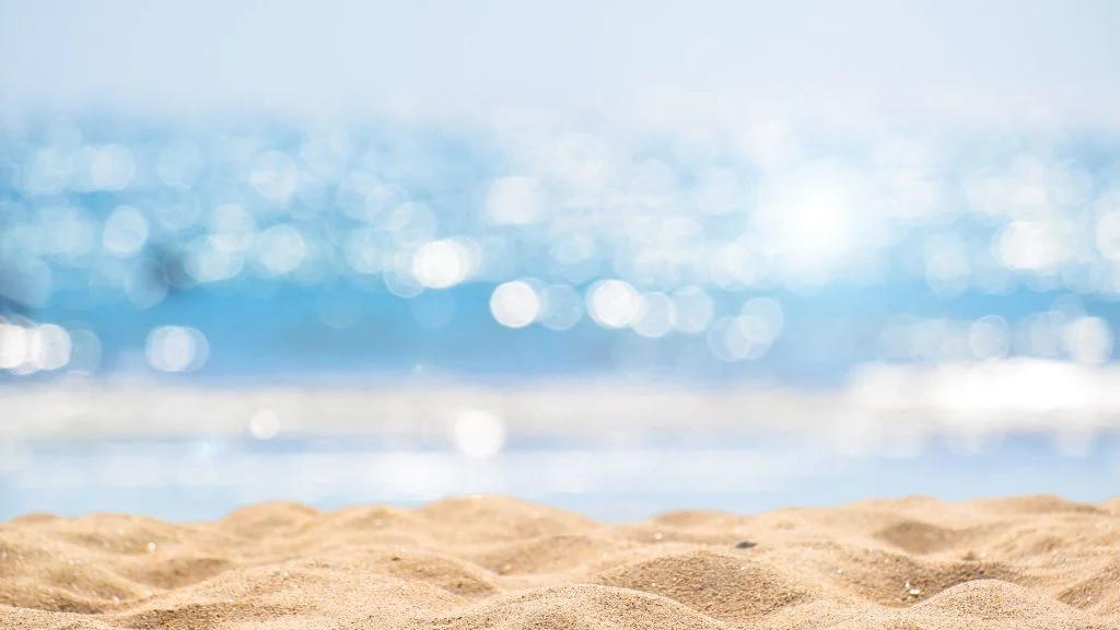 Scenic picnic spots in Malibu