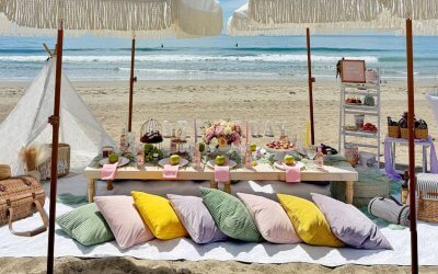 Best Wine Picnic Baskets for Polished Picnic Days