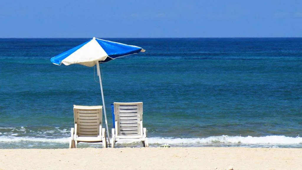 blue and white umbrella on the shore