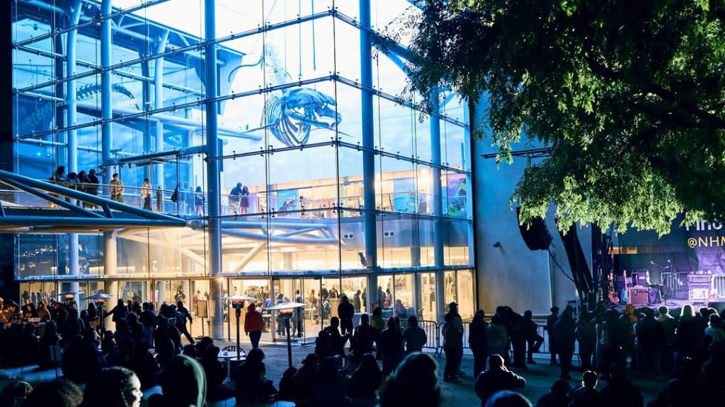 family-friendly exhibit at a major la museum