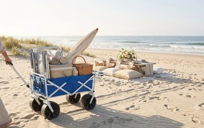 5 Beach Wagons with Big Wheels