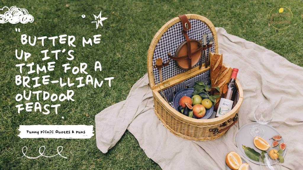 funny picnic quotes & puns