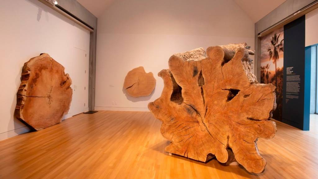 natural exhibits in a top museum in los angeles