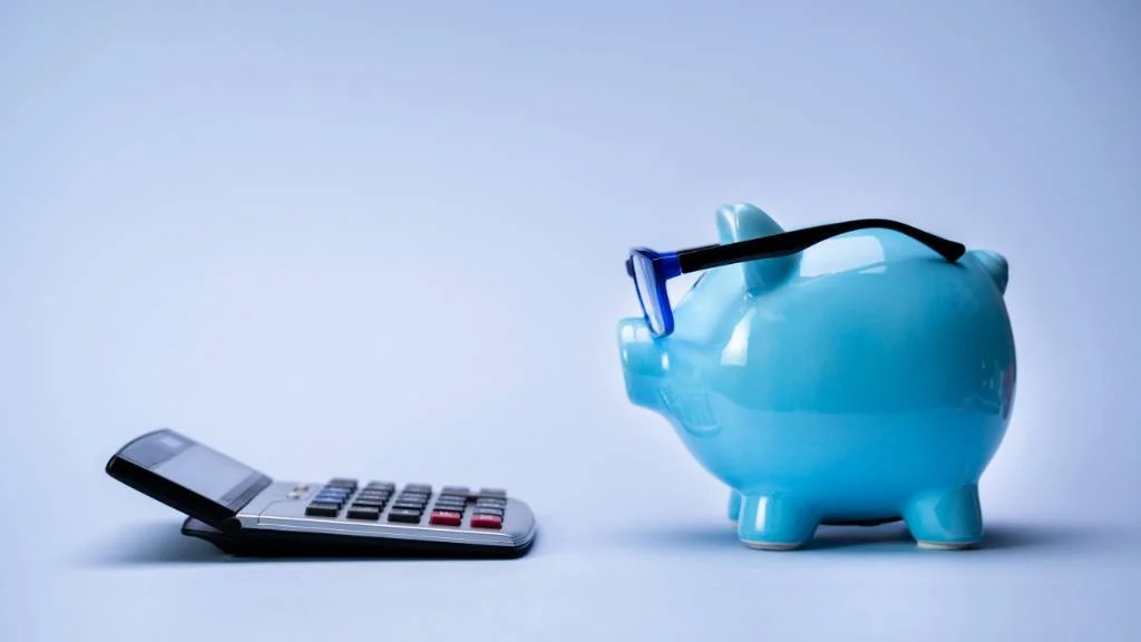 picnic budget planning with piggy bank