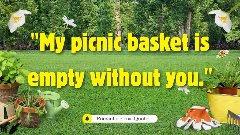 romantic picnic quotes