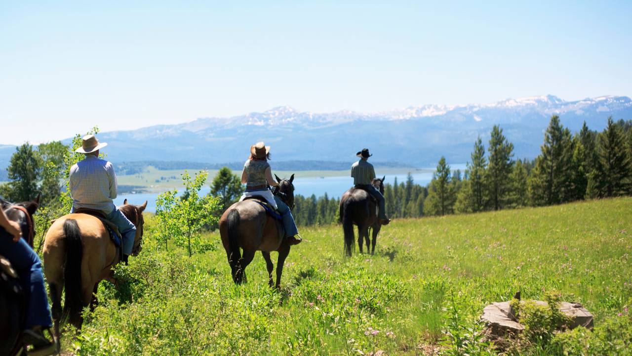 scenic horseback riding experience