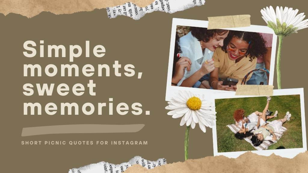 simple picnic memories quote