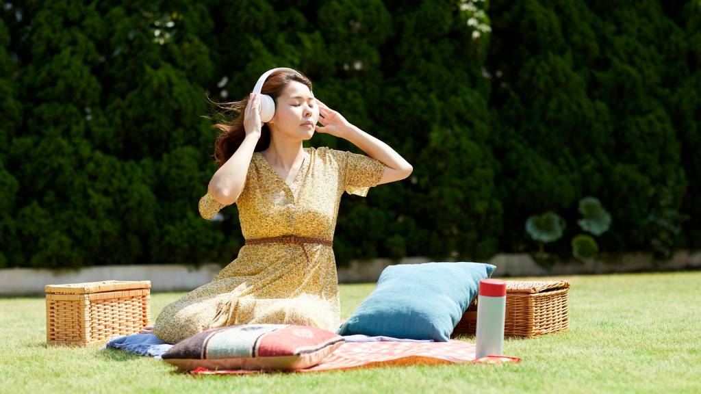 solo picnic setup with cushions and speaker