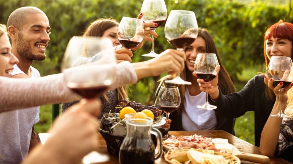 Vineyard wine tasting experience with scenic outdoor setting