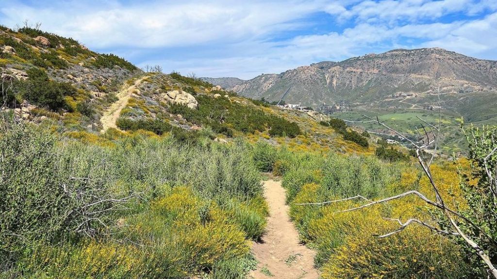 Charmlee Wilderness Park