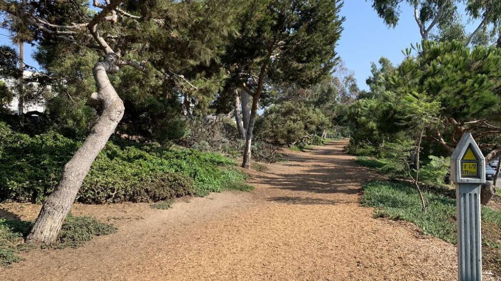 easy family hiking trail