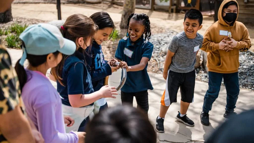 outdoor activity for kids