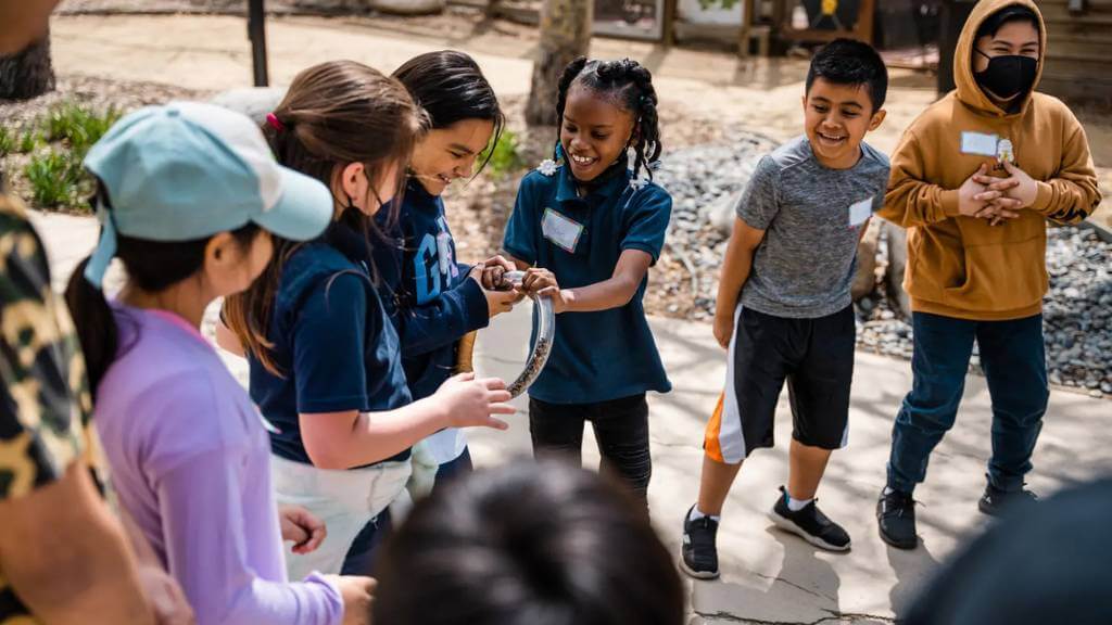 outdoor activity for kids