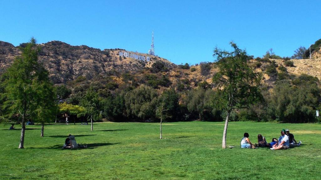 picnic in the park