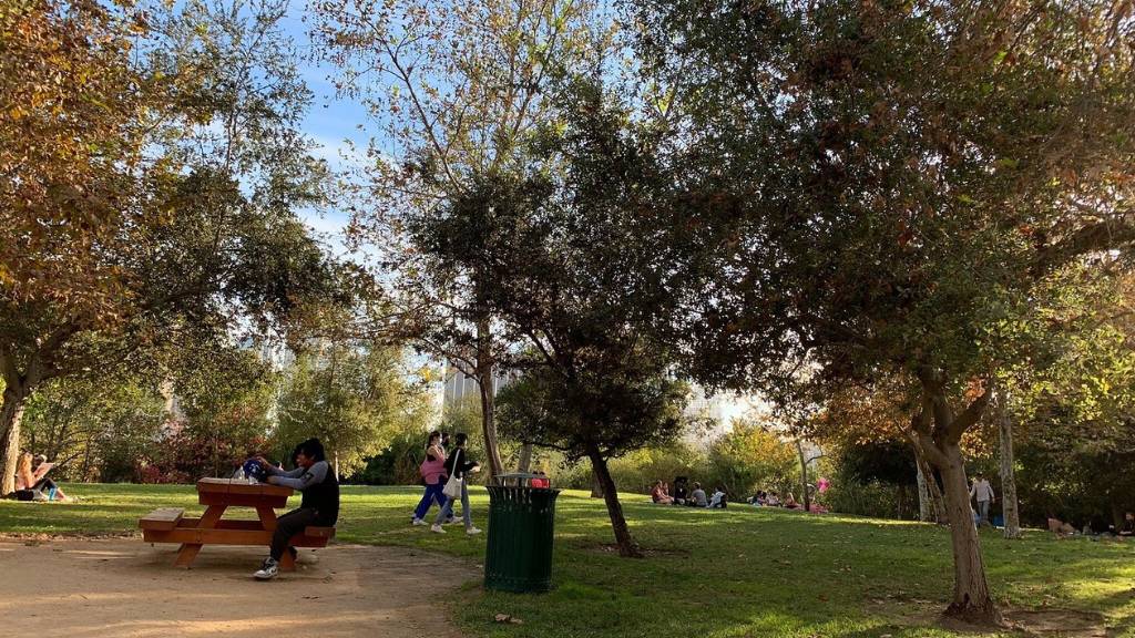 relaxing at a park