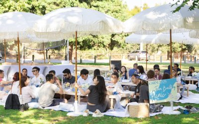 Expert-Approved Team Building Activities for Small Groups