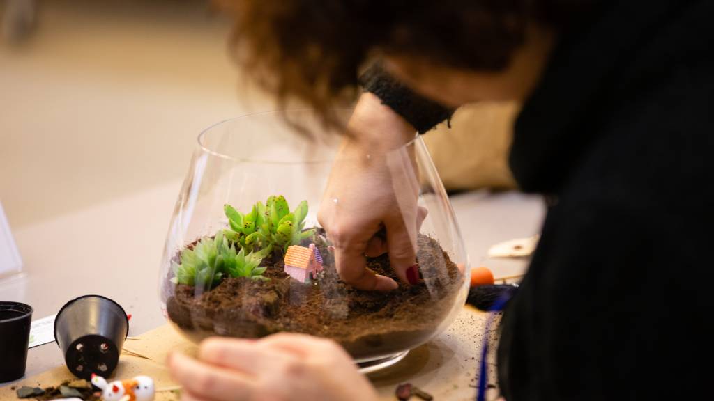 small team terrarium workshop