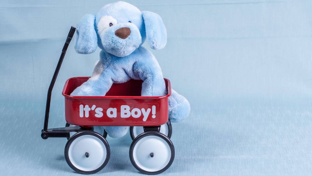 blue toy wagon gender reveal boy
